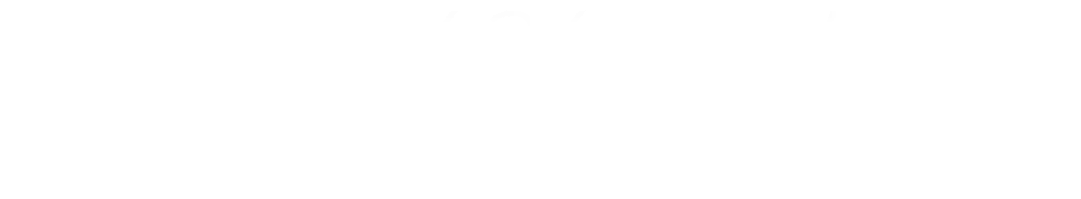PRO MAX 241PHW E14 - Modernity, Acceleration, eXperience