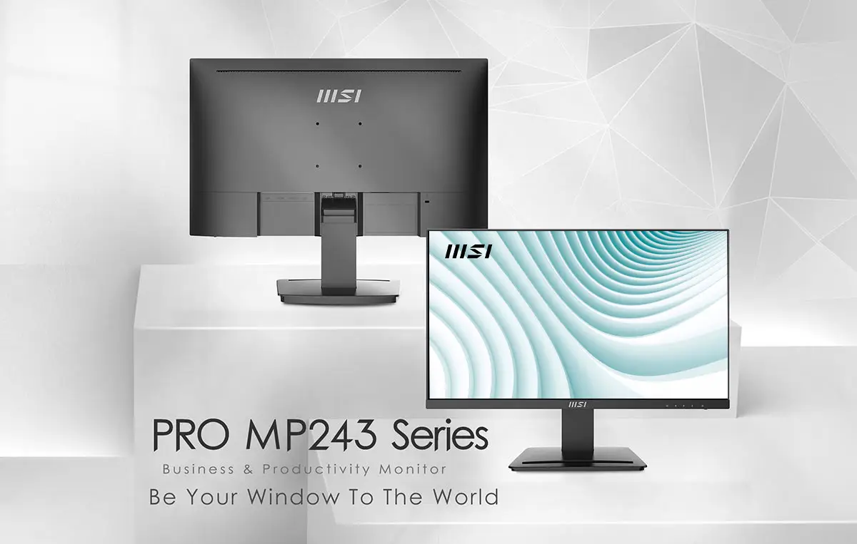 PRO-MP243 monitor for mobile