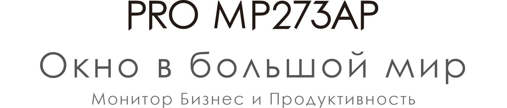 PRO MP273AP Title