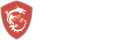 MSI Logo