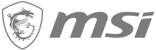 MSI Logo