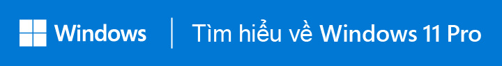 Windows 11 Pro